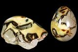 Polished Septarian Egg with Base - Madagascar #118138-1